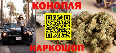 сатива Бузулук