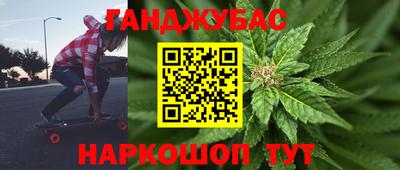 сатива Бузулук