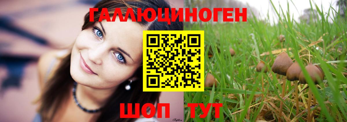 Тамбов  Псилоцибиновые грибы GOLDEN TEACHER  Вход с VPN 